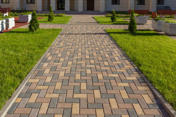 Best Driveway Drainage Solutions in USA